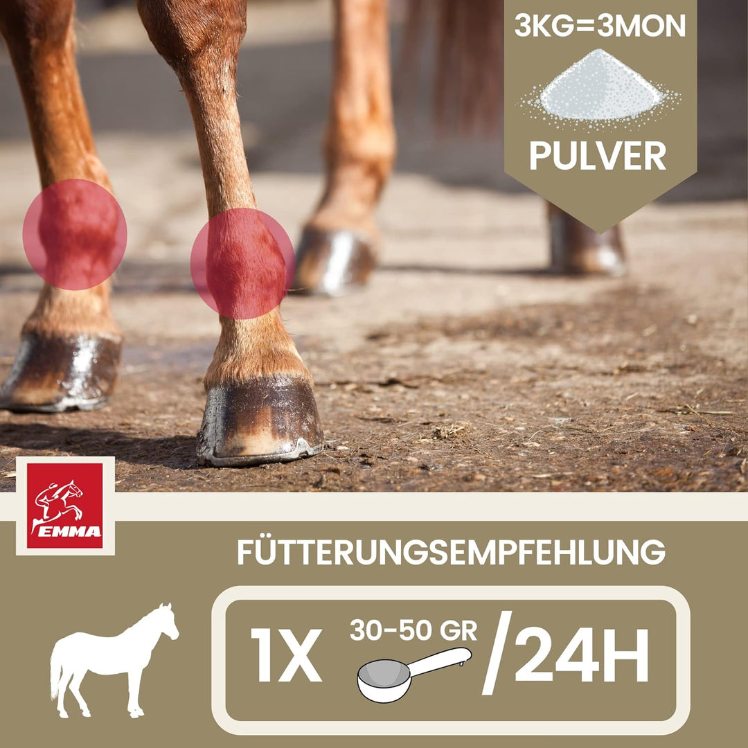 MSM Pulver I Gelenk Pulver für Pferde plus MSM Pferd - Knochen-Gelenk-Komplex mit Calcium Vitamin D