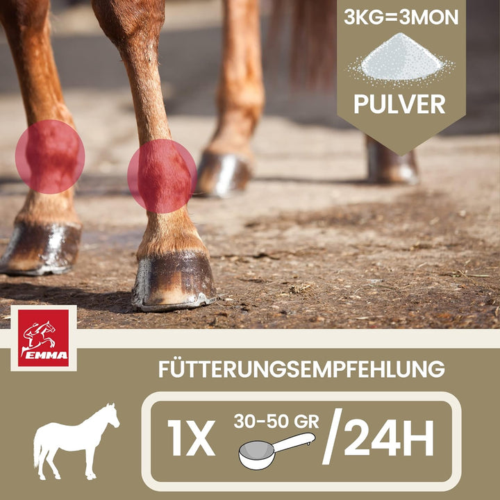 MSM Pulver I Gelenk Pulver für Pferde plus MSM Pferd - Knochen-Gelenk-Komplex mit Calcium Vitamin D