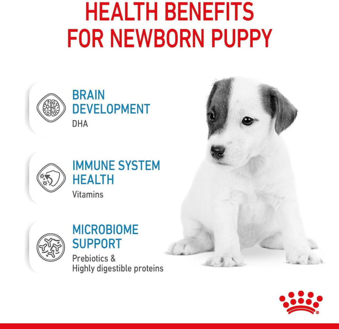 Royal Canin Babydog Milk | 2000 g | Welpen Milch in Pulverform | Zur Unterstützung des Verdauungssys