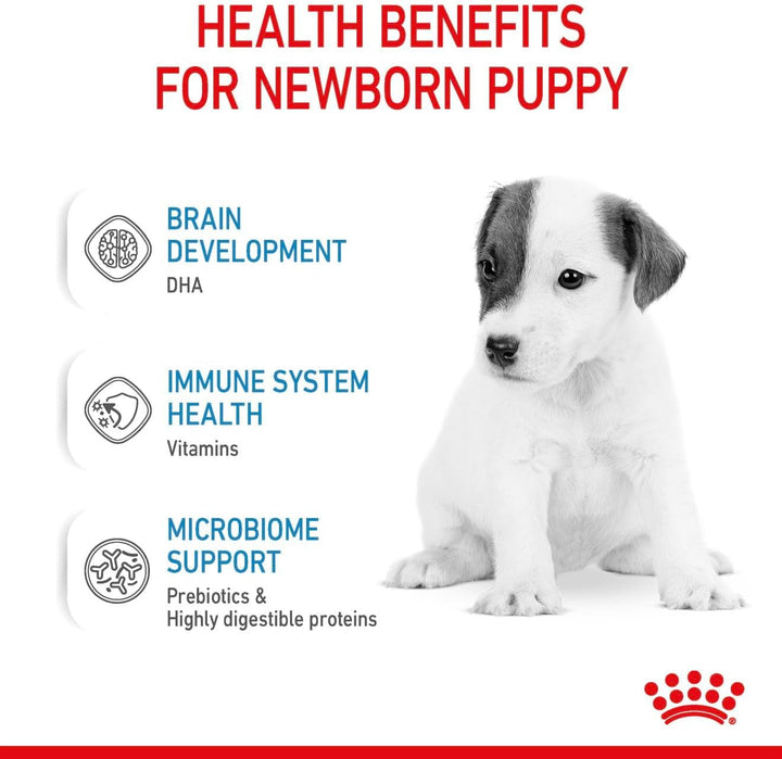 Royal Canin Babydog Milk | 2000 g | Welpen Milch in Pulverform | Zur Unterstützung des Verdauungssys