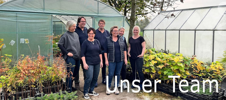 Seedeo® Zimmergewächshaus "easy growing" Komplettset