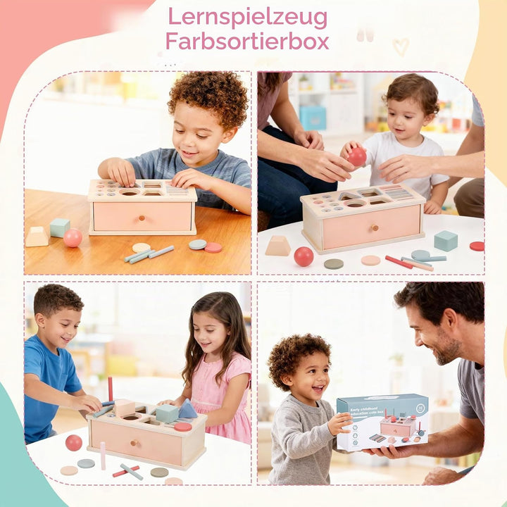 Montessori Spielzeug, 3-in-1 Holz Münzbox &amp; Ballbox Kinder Jungen Mädchen, Objektpermanenz Box, Farb