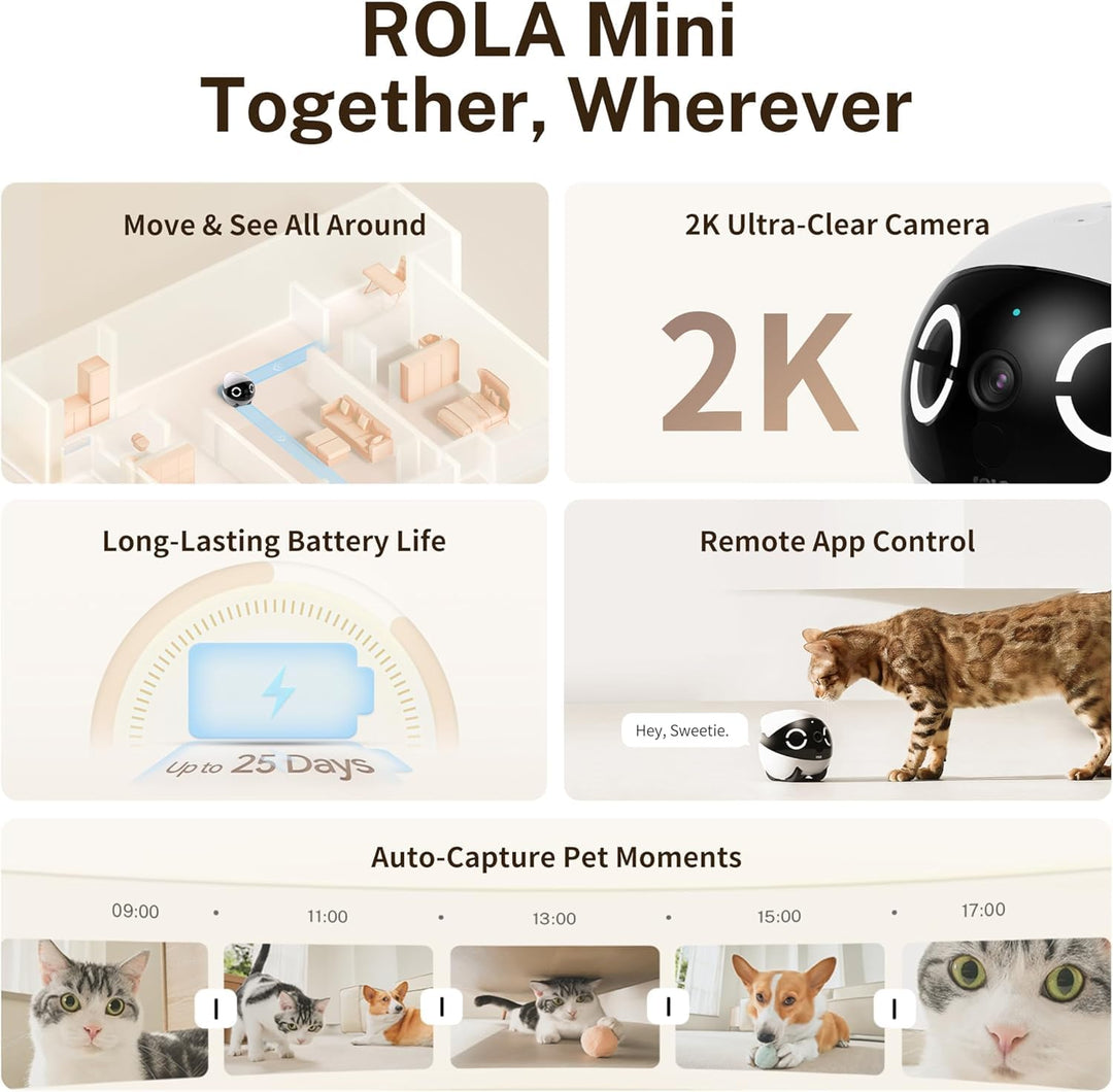 Enabot ROLA Mini Funny Pet Companion Robot
