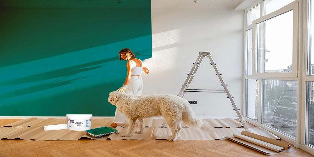 BOX DECO COULEURS Natürliche Farbe, für den Innen- und Aussenbereich, Natura-Samt, 1 l, 13 m² [Energ