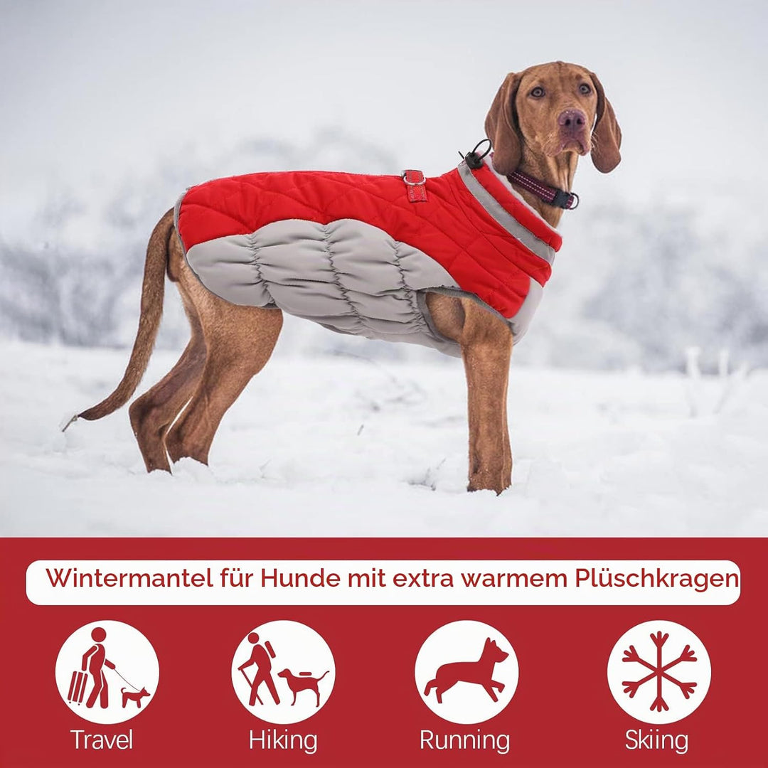 Kuoser Hundejacke Wintermantel für Grosse Hunde - Wasserdichte Winterweste Mit Geschirr - Warme Jack