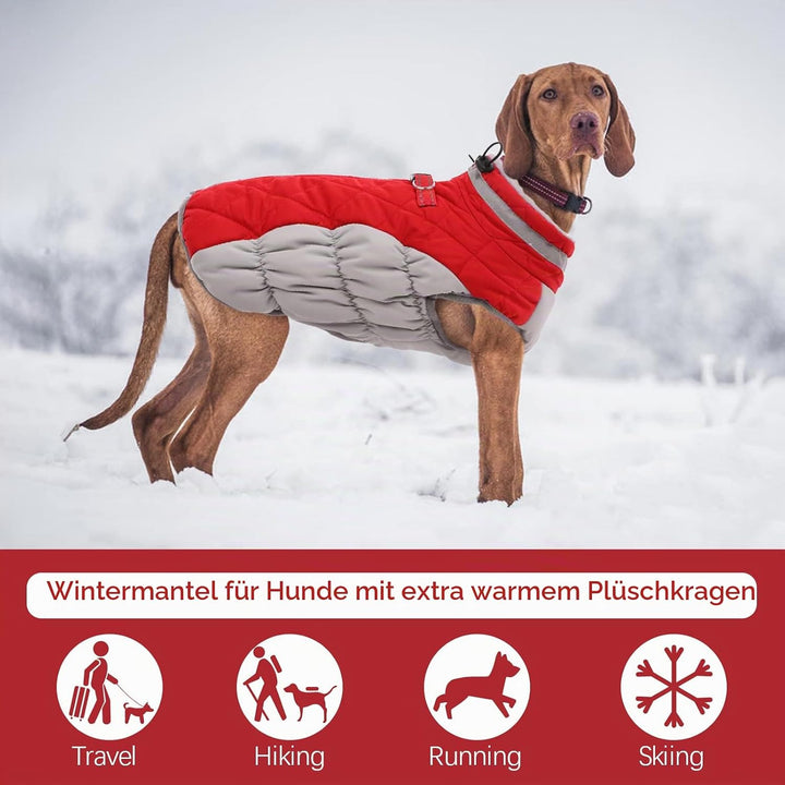 Kuoser Hundejacke Wintermantel für Grosse Hunde - Wasserdichte Winterweste Mit Geschirr - Warme Jack