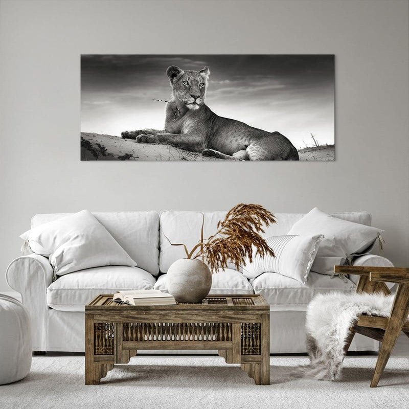 Wandbilder Dekoration Wohnzimmer Tierwelt weiblich katze Tier Panorama Bilder auf Leinwand 120x50cm