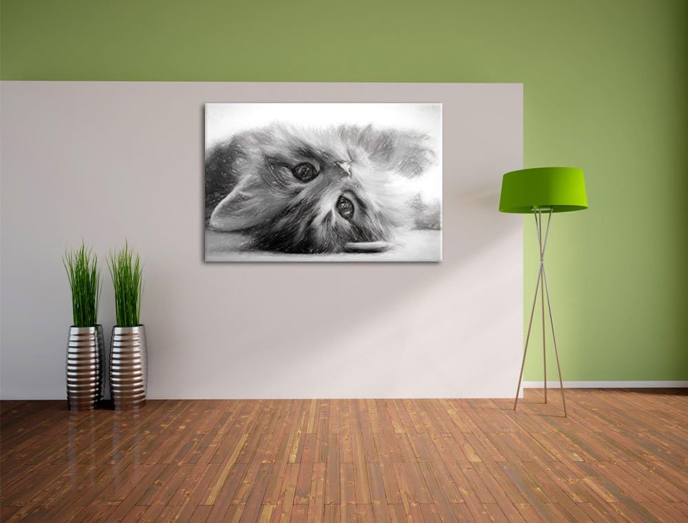 Pixxprint Süsses Katzenbaby als Leinwandbild/Grösse: 100x70 / Wandbild/Kunstdruck/fertig bespannt, 1