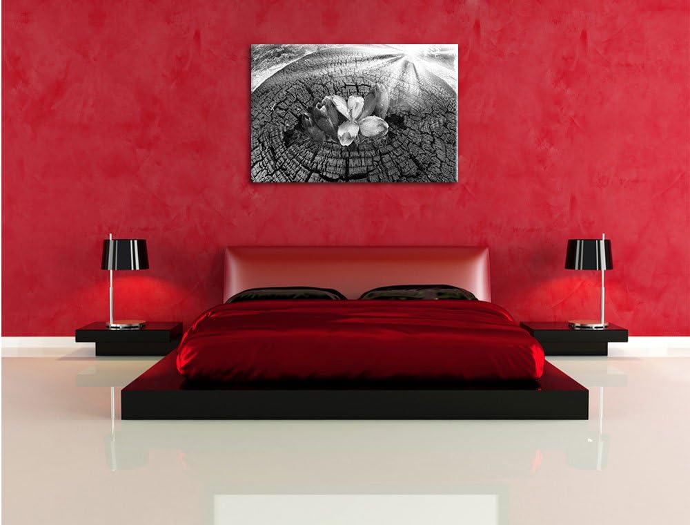 Pixxprint Die Kraft der Natur Kunst B&W / 100x70cm Leinwandbild bespannt auf Holzrahmen/Wandbild Kun
