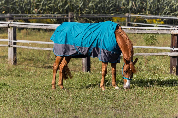 RL24 - Weidedecke High Neck Polarfleece 600D BASICLINE Petrol/Graphit 95cm Petrol/Graphit (Altes Mod