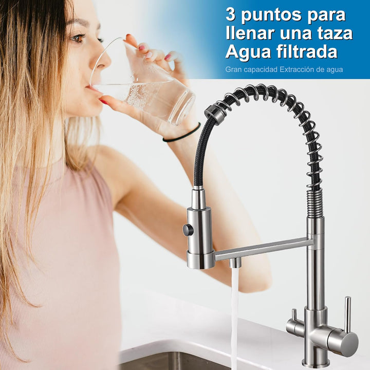 Trinkwasser Küchenhahn Pull Down Sprayer 2 Griff 3 in 1 Wasserfilter Reiniger Wasserhähne Frühling B
