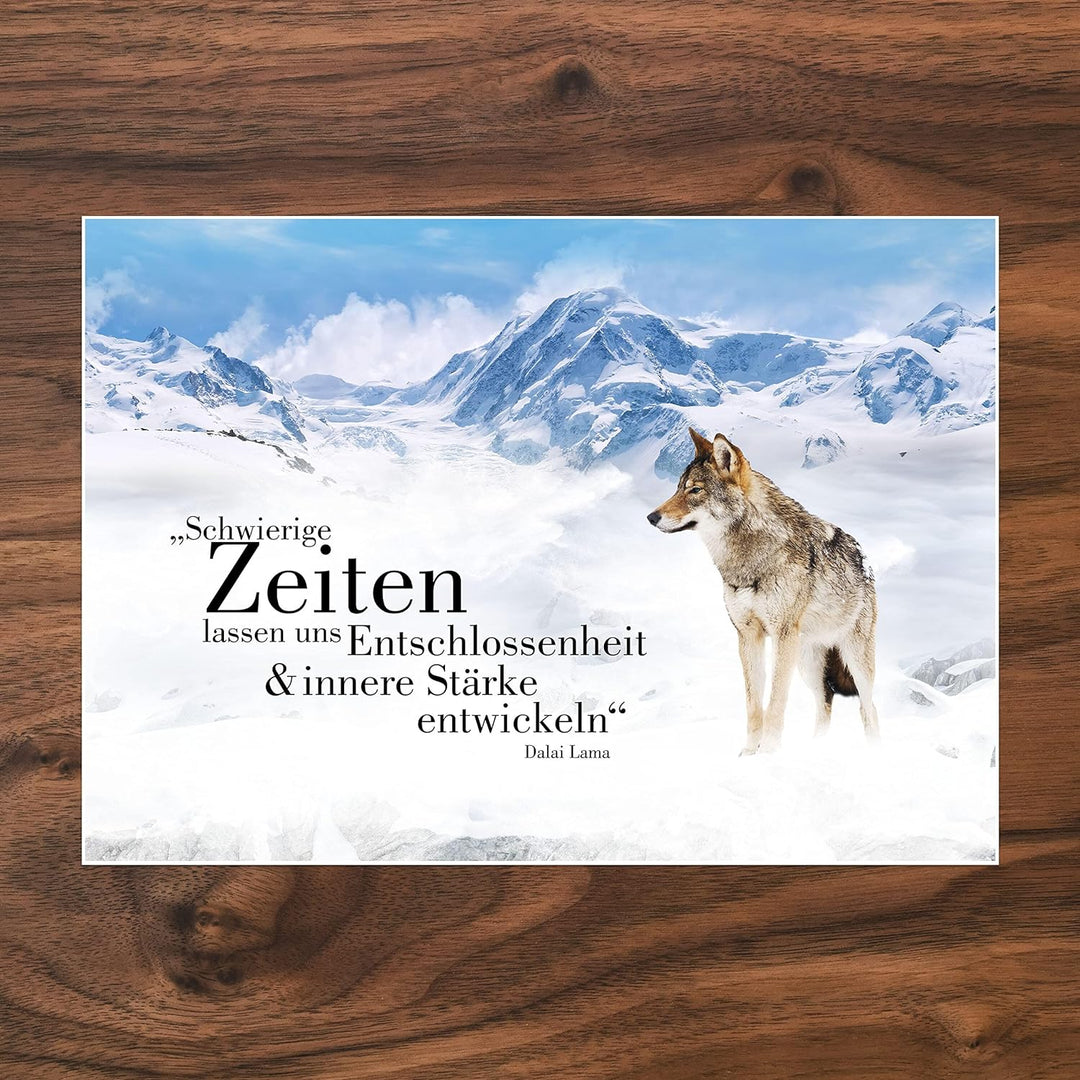 wandmotiv24 Poster als Wanddeko, Grösse Din A1, Wolf in den Bergen, Entschlossenheit, Wölfe, Tiere,