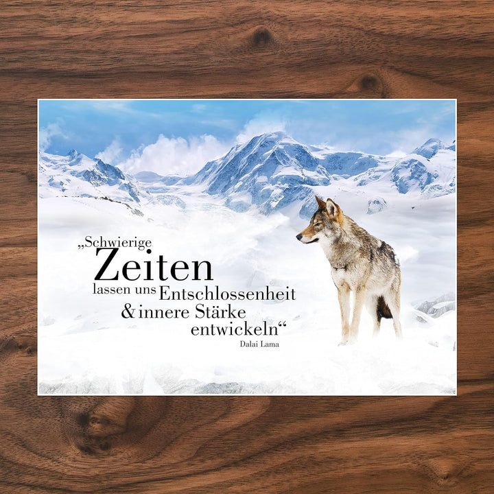 wandmotiv24 Poster als Wanddeko, Grösse Din A1, Wolf in den Bergen, Entschlossenheit, Wölfe, Tiere,