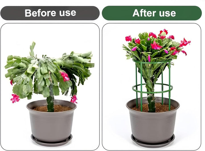 12 x Pflanzenstütze, halbrund, Pflanzenstützring, Gartenblumenstütze, Pflanzenstützpfähle für Tomate