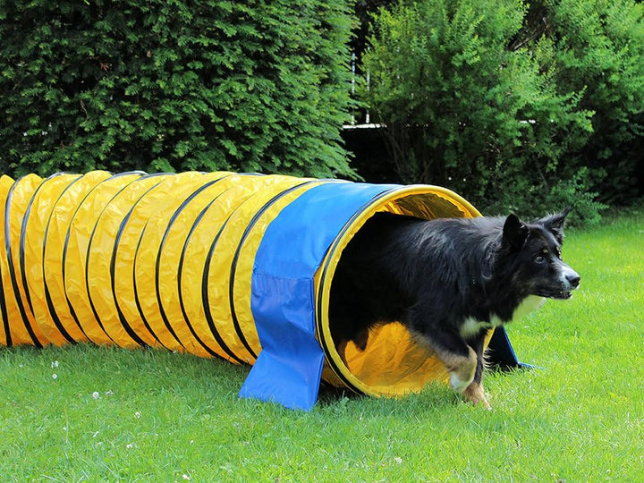 Procyon Profi Agility Tunnel 360° mit Stützsandsäcken nach FCI-Standard L=5m Ø60cm