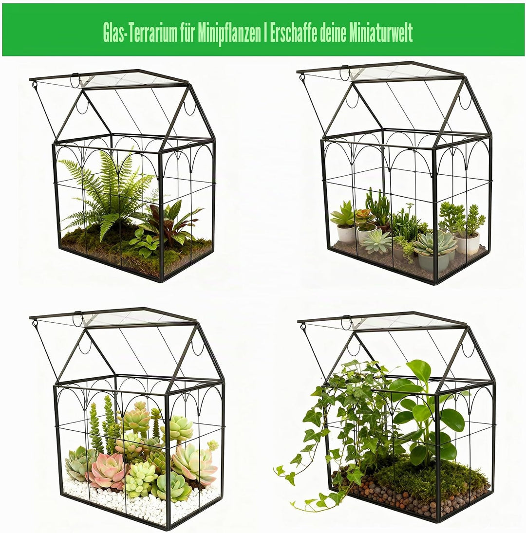 ElegantLife Geometrisches Terrarium aus Glas für Sukkulenten und Luftpflanzen (Keine Pflanze im Lief