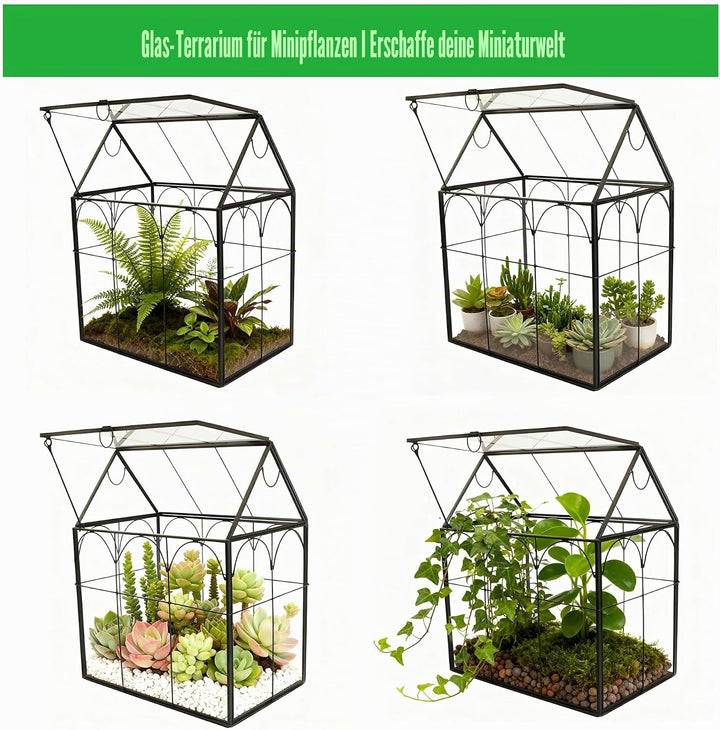 ElegantLife Geometrisches Terrarium aus Glas für Sukkulenten und Luftpflanzen (Keine Pflanze im Lief