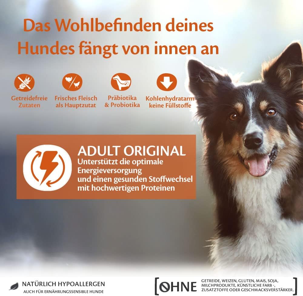 Wellness CORE Adult Original, Hundefutter trocken, getreidefrei, mit hohem Fleischanteil, Pute & Huh