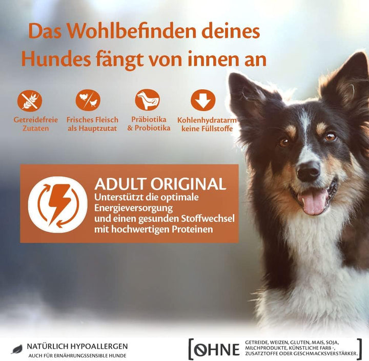 Wellness CORE Adult Original, Hundefutter trocken, getreidefrei, mit hohem Fleischanteil, Pute & Huh