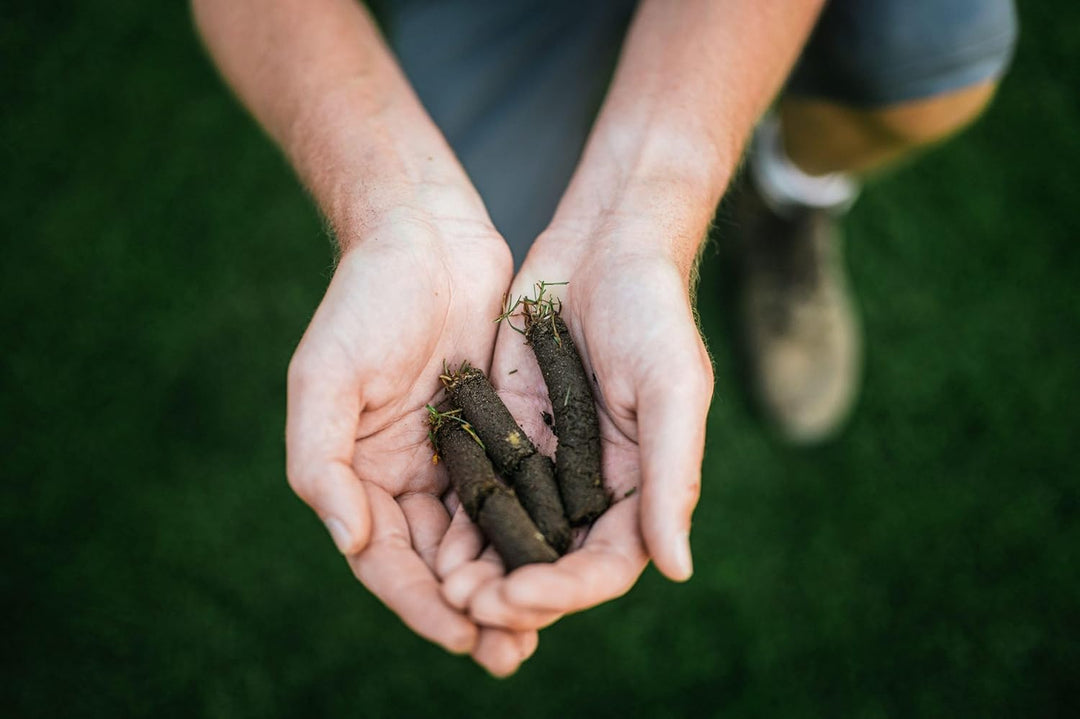 Rasenspecht Aerifizierer mit 2x16mm Spoons und Auffangwanne (Langer Stiel (ab Einer Körpergrösse von