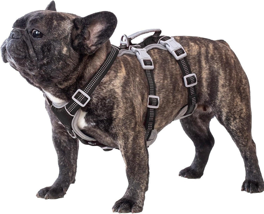 Huntboo Hundegeschirr Ausbruchsicher, Hundegeschirr Grosse Hunde, Reflektierender Gurt mit Gepolster