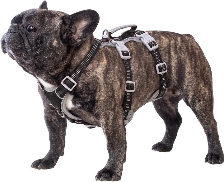 Huntboo Hundegeschirr Ausbruchsicher, Hundegeschirr Grosse Hunde, Reflektierender Gurt mit Gepolster