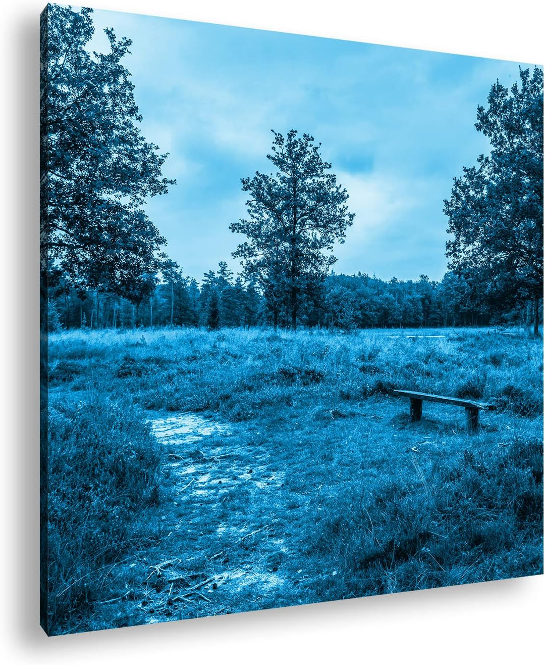 deyoli einsame Bank im Wald Format: 60x60 Effekt: Monocrome Blau als Leinwand, Motiv fertig gerahmt