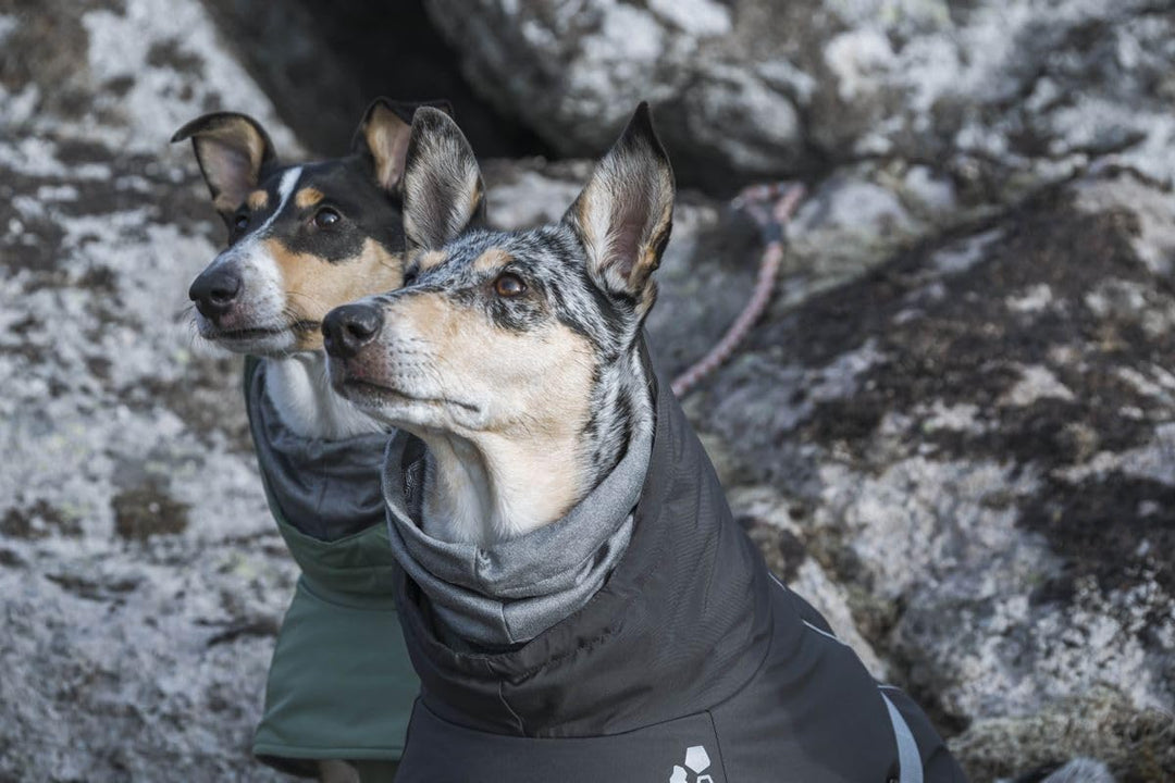 Hurtta Extreme Warmer Hundemantel, Winterjacke für Hunde, Brombeere 60 cm