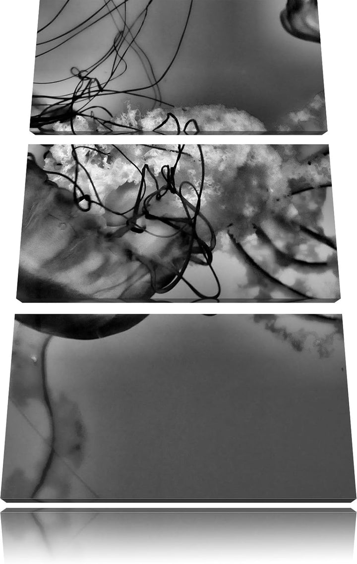 Pixxprint anmutige Qualle im Wasser als Leinwandbild/Grösse: 3 Teilig (120x80) / Wandbild/Kunstdruck