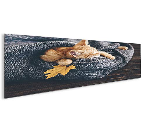 islandburner Bild Bilder auf Leinwand Katze mit Decke gemütlich Panorama XXL Poster Leinwandbild Wan