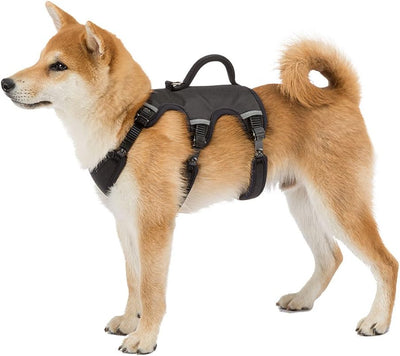 Ferplast Ergonomisches Hundegeschirr Mittelgrosse Hunde ERGOTREKKING Small, Geschirr Hund Sechs Vers