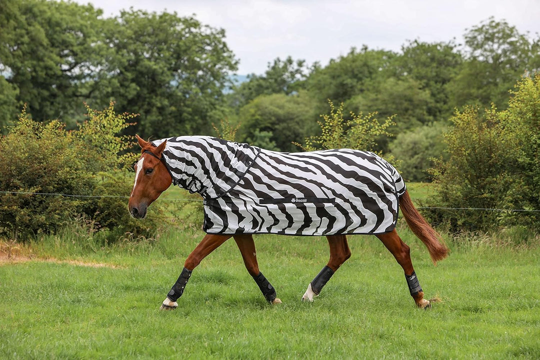 Bucas Buzz-Off Fliegendecke Zebra Full-Neck, 115, 115