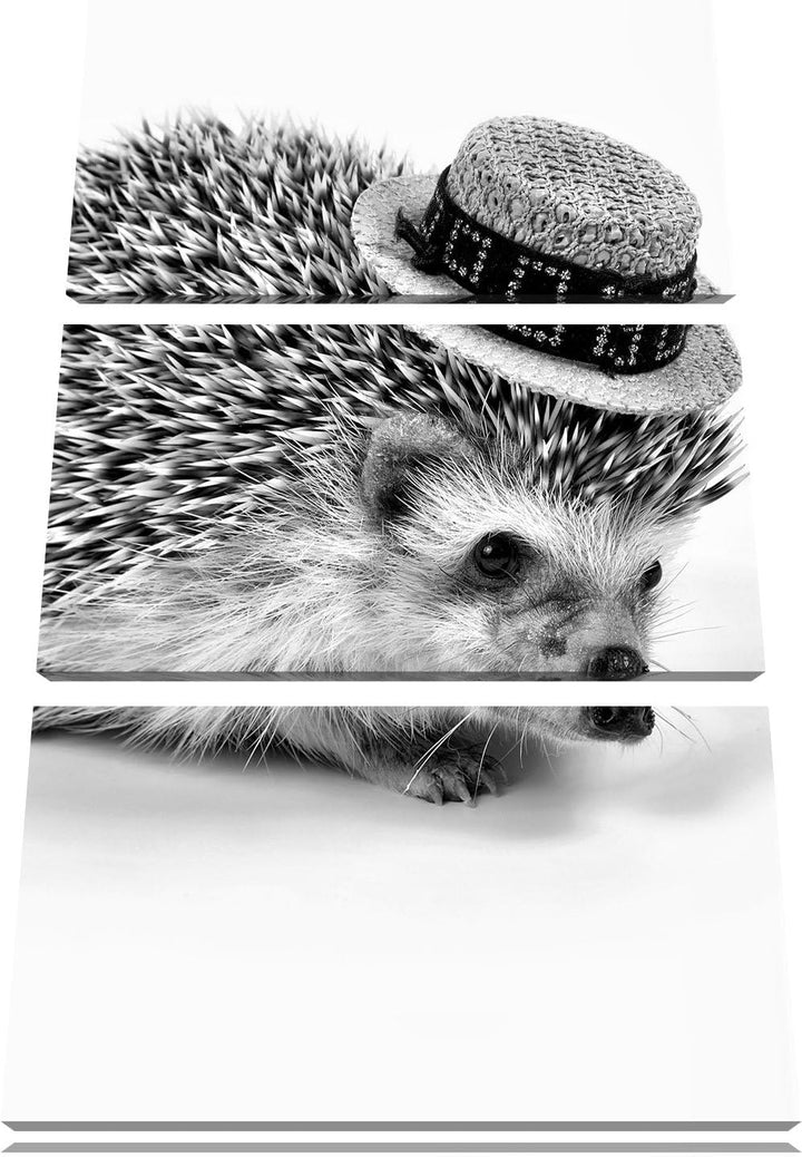 Pixxprint Lustiger Igel mit Hut als Leinwandbild/Grösse: 3 Teilig (120x80) cm/Wandbild/Kunstdruck/fe
