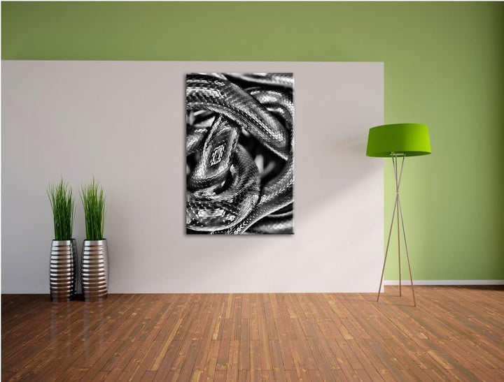 Pixxprint Monocrome, Dark Schwarze Schlangen, Format: 100x70 auf Leinwand, 100x70