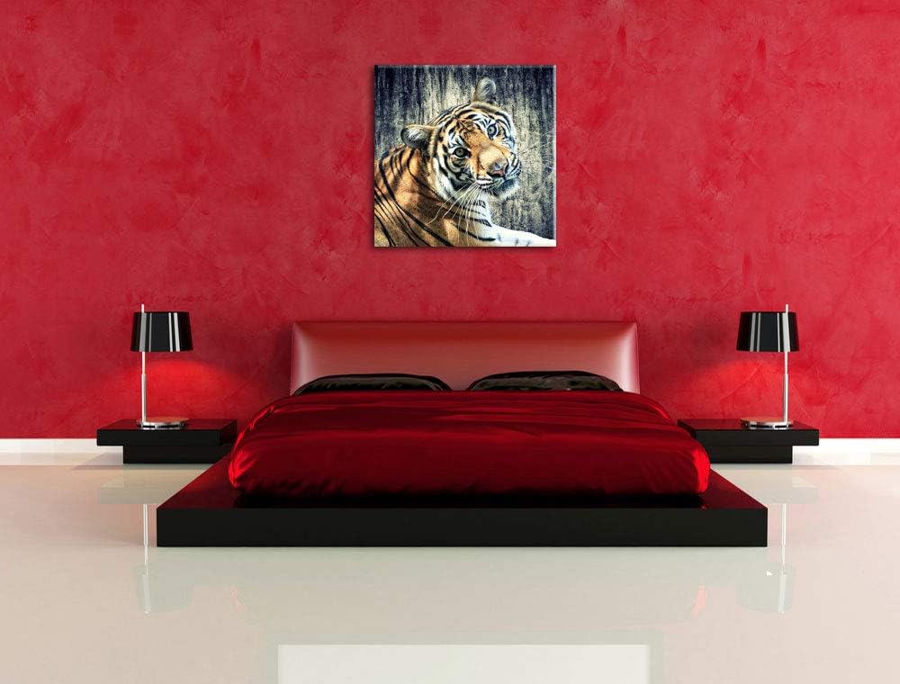 Neugieriger Tiger, Format: 70x70 auf Leinwand, XXL riesige Bilder fertig gerahmt mit Keilrahmen, Kun