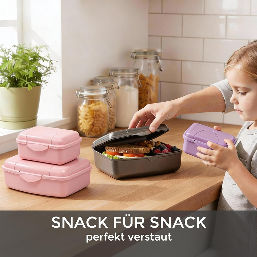 Hausfelder Brotdose Set Erwachsene – 4er Lunchbox Set anthrazit mit 2 grossen (18x14x6,5cm) &amp; 2 klei