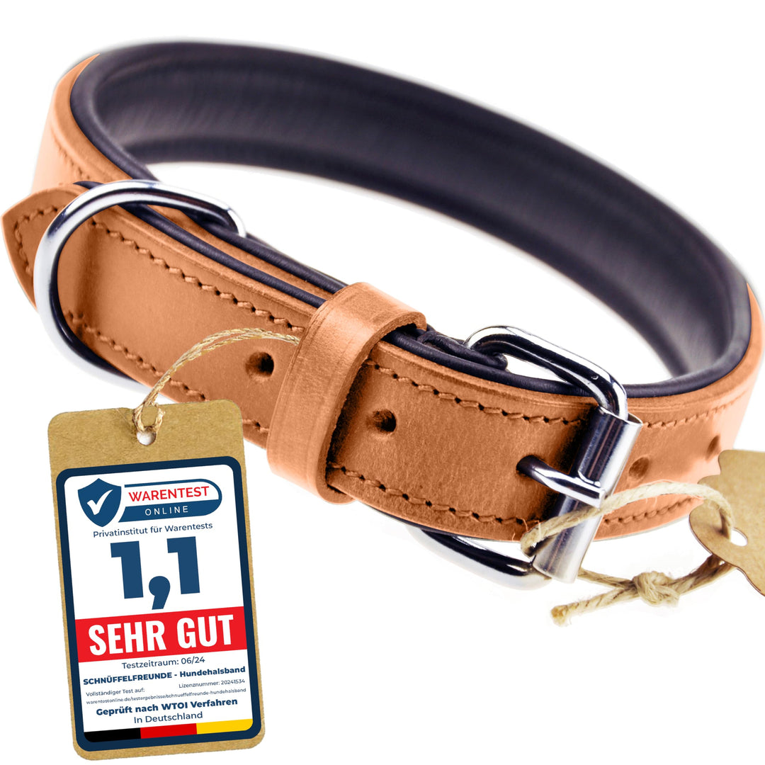 Schnüffelfreunde Halsband für Hunde aus Leder, Hundehalsband für den grossen, mittleren und kleinen