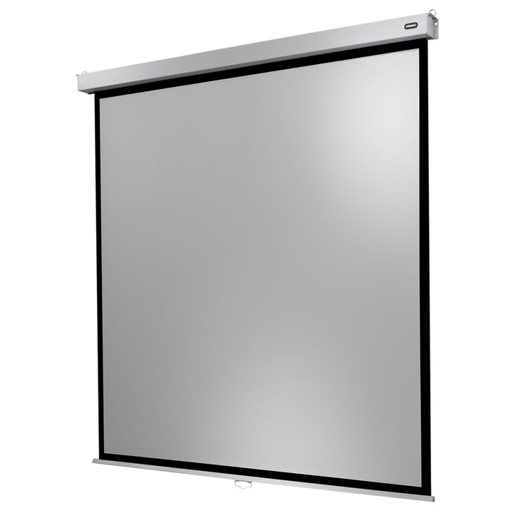 celexon manuell ausziehbare Heimkino- und Business-Rollo-Beamer-Leinwand 4K und Full-HD mit Slow-Ret