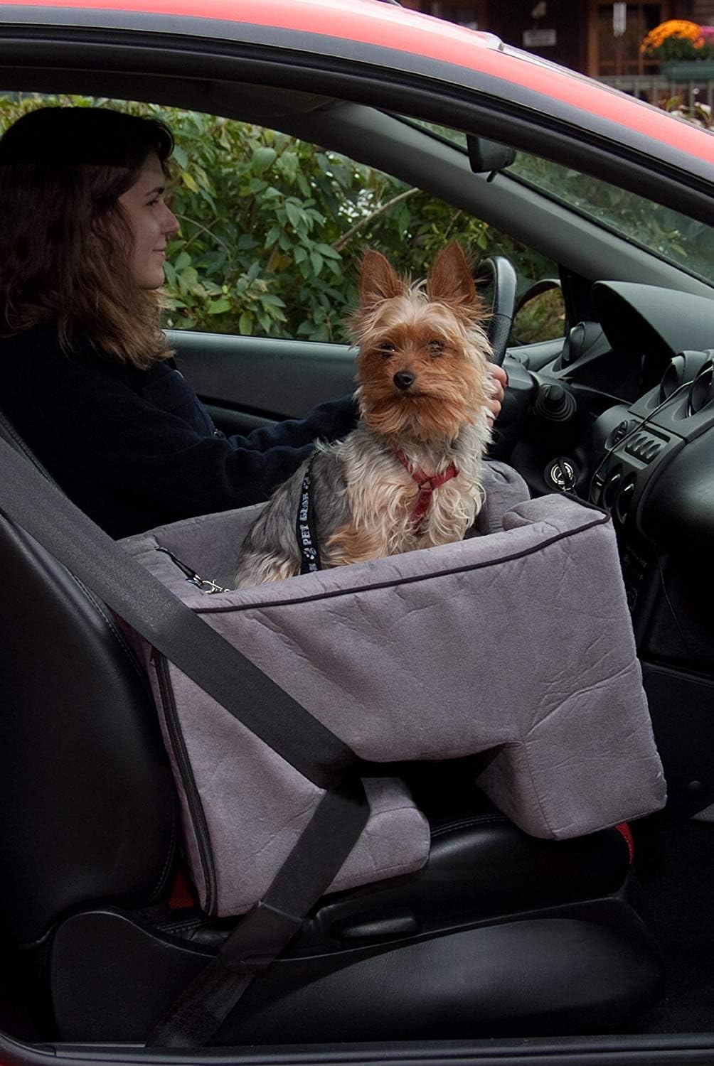 Pet Gear Lookout Booster Car Seat, Removable Comfort Pillow, Safety Tether Included, Installs in Sec