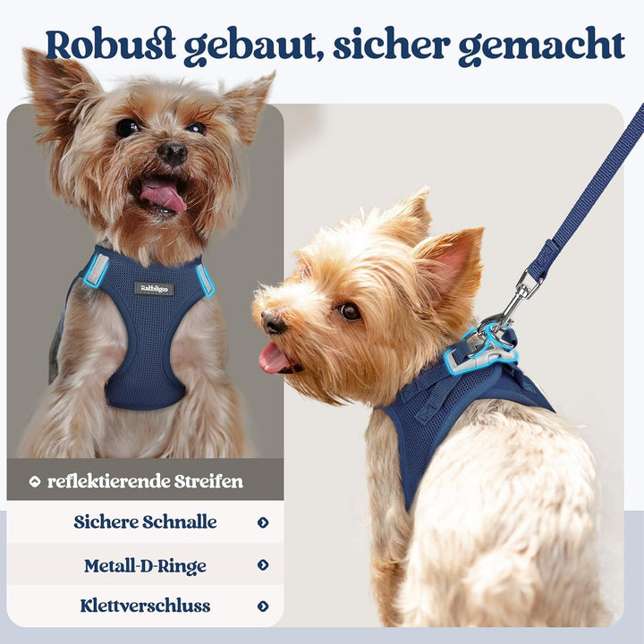 rabbitgoo Hundegeschirr Kleine Hunde mit Leine, Step-in Welpengeschirr Weich Mesh für Spaziergänge,