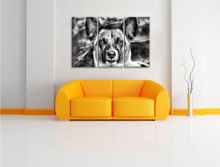 Pixxprint niedlicher Hund im Wasser als Leinwandbild/Grösse: 3 Teilig (120x80) cm/Wandbild/Kunstdruc