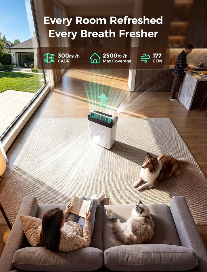 Luftreiniger mit Aktivkohlefilter, Doppel-Ansaugung, CADR 300 m³/h | bis 232 m², Air Purifier H13 HE