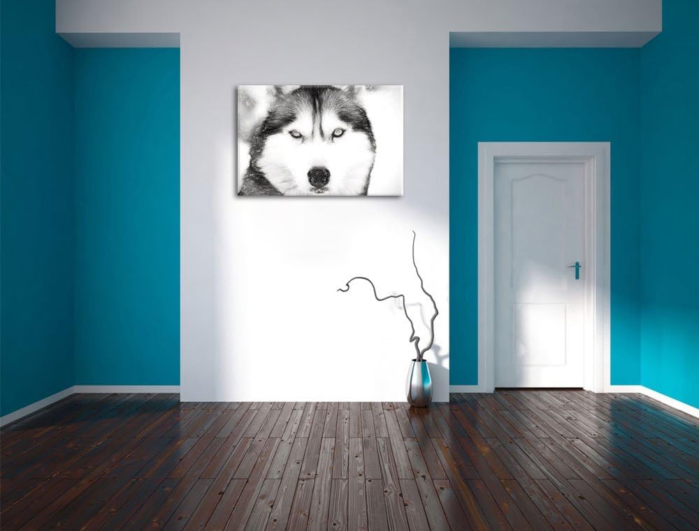 Husky Kohle Effekt, Format: 100x70 auf Leinwand, XXL riesige Bilder fertig gerahmt mit Keilrahmen, K