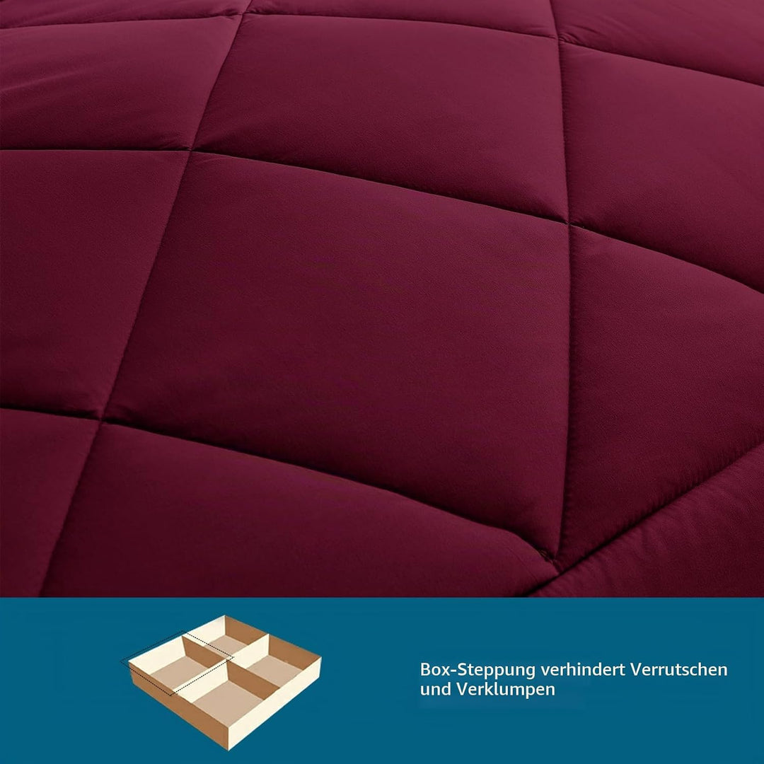 WAVVE Bettdecke 155x220 cm Ganzjahresdecke 4 Jahreszeiten, Steppdecke 300gsm Mikrofaser 155x220cm, S