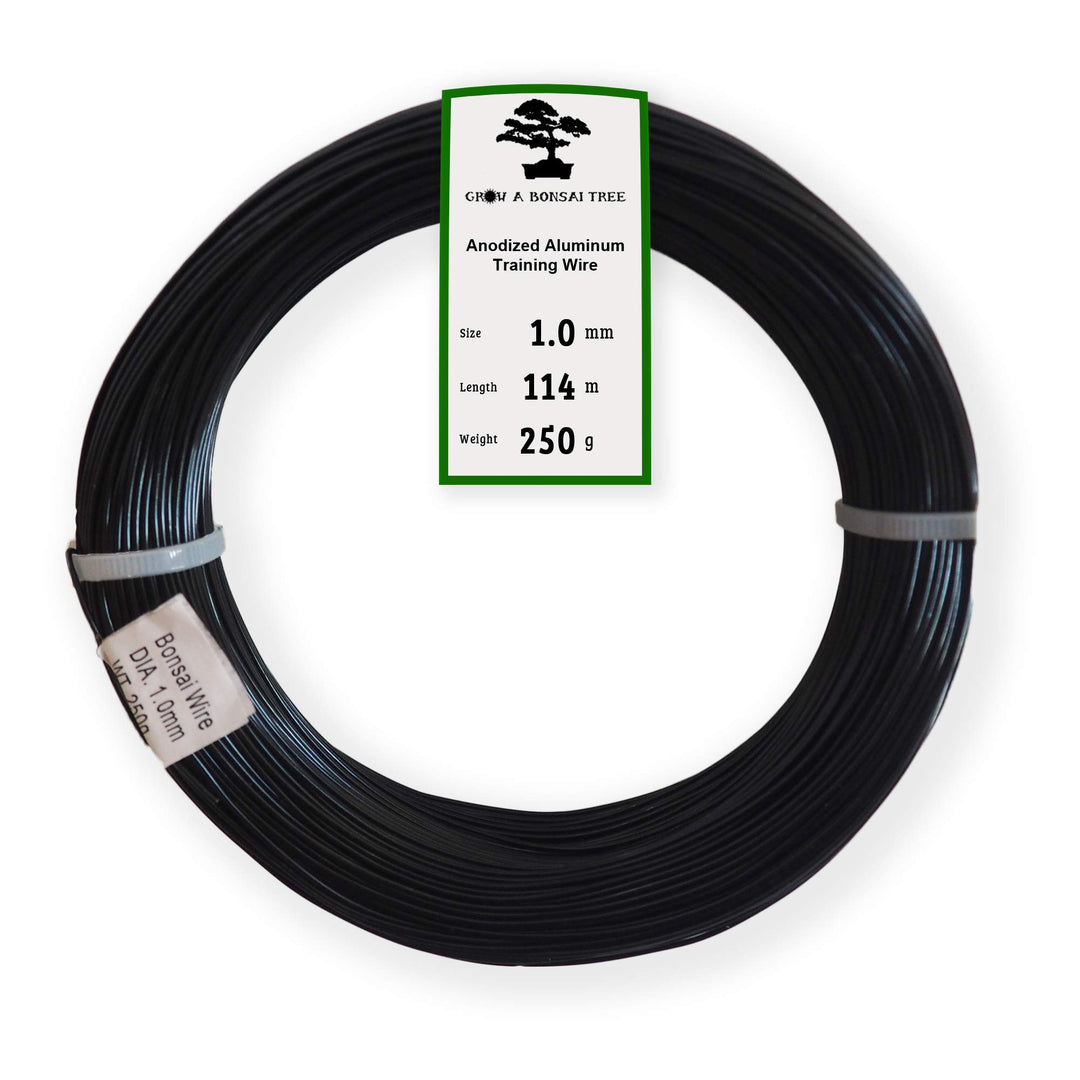 Grow A Bonsai Tree Eloxiertes Aluminium 1,0mm Bonsai Draht 250g grosse Rolle (375 Feet) - (1,0mm, Sc