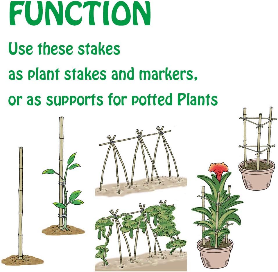 Mininfa Natürliche Bambusstäbe 60CM, Umweltfreundliche Bambusstange, Bambusstangen, Pflanzenstäbe fü