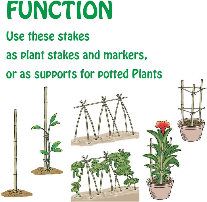 Mininfa Natürliche Bambusstäbe 60CM, Umweltfreundliche Bambusstange, Bambusstangen, Pflanzenstäbe fü