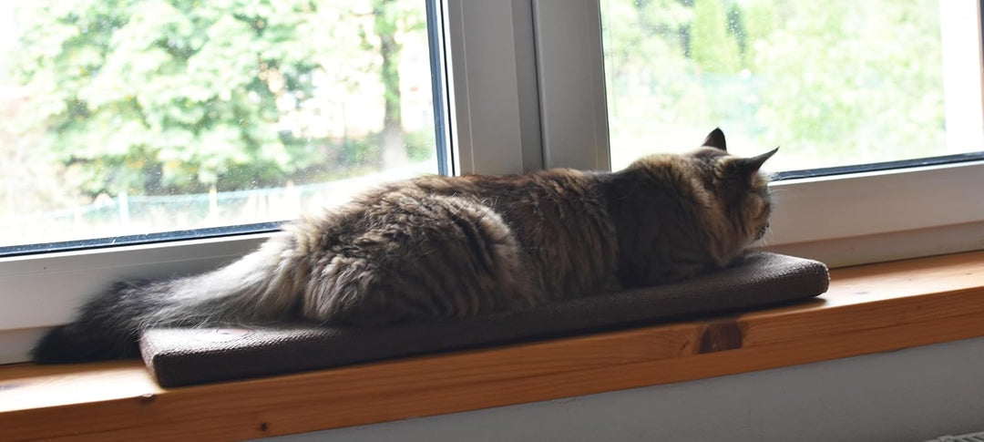 Prime Katzen Fensterliege Für Katzen, Fensterbank mit Einer Rutschfesten Rückseite, Katzenbett Fenst