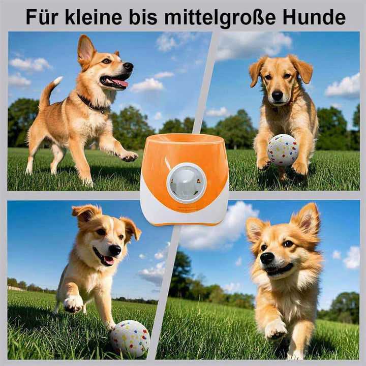 Ballwurfmaschine für Hunde, Automatischer Hundeballwerfer mit Tennisball, Interaktives Hundespielzeu