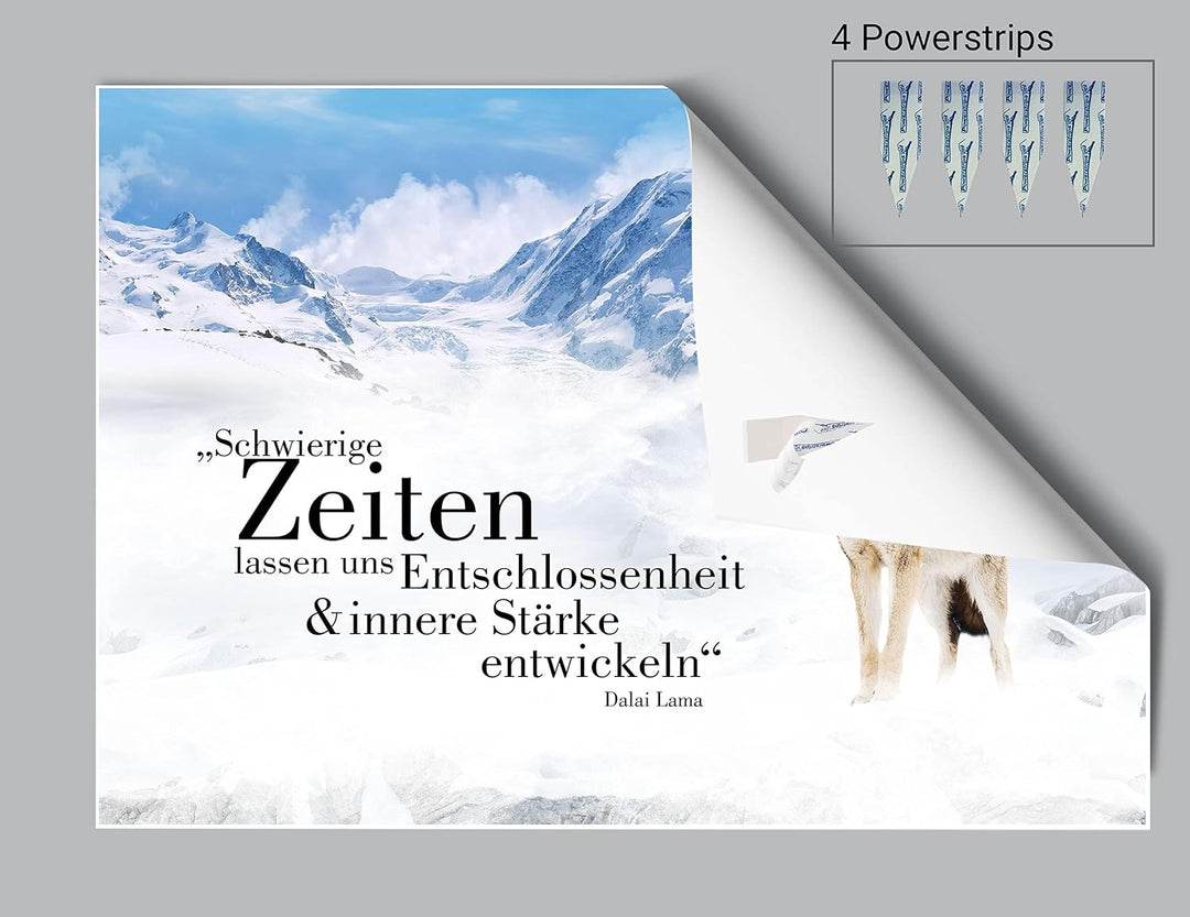 wandmotiv24 Poster als Wanddeko, Grösse Din A1, Wolf in den Bergen, Entschlossenheit, Wölfe, Tiere,